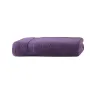 Aubergine